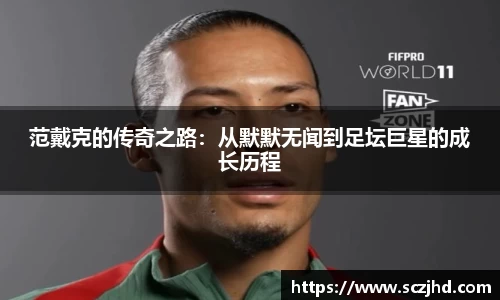 熊猫体育官网