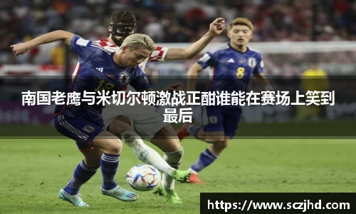 熊猫体育官网